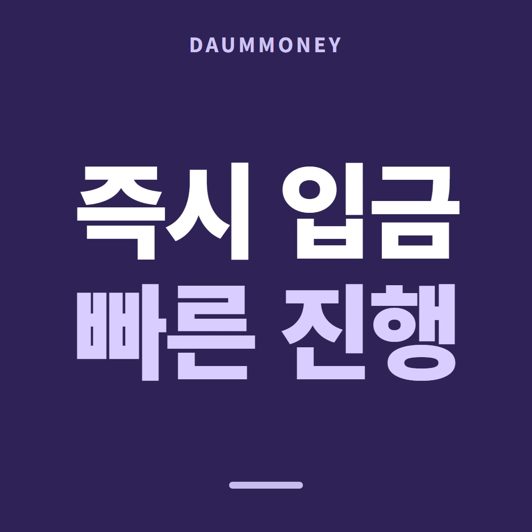 다음머니 롯데카드현금화 앱 접속 수단 준비물 안내